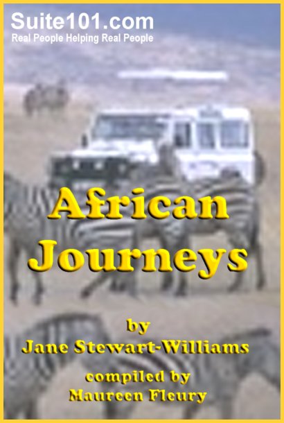 Suite101 e-Book African Journeys