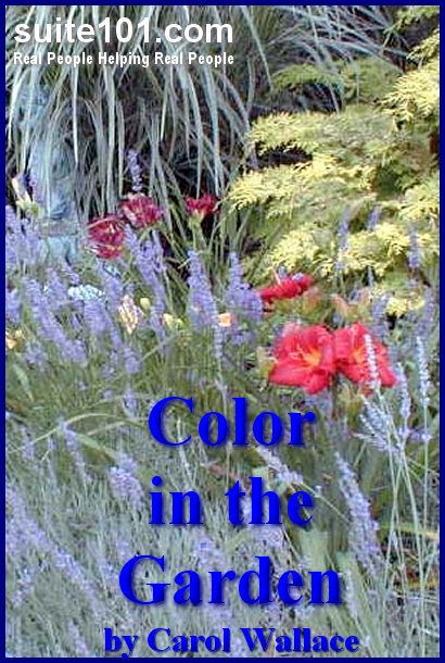 Suite101 e-Book Color in the Garden