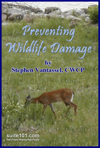 Suite101 e-Book Preventing Wildlife Damage