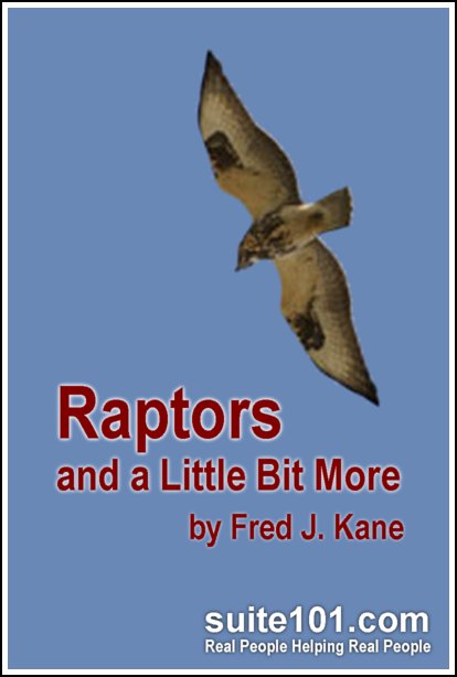 Suite101 e-Book Raptors, and a Little Bit More